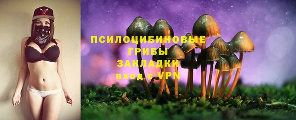 а пвп мука Белокуриха