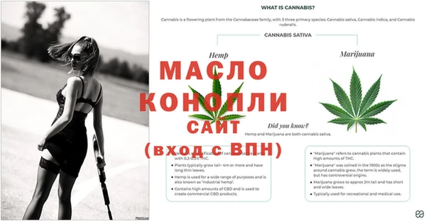 каннабис Белоозёрский