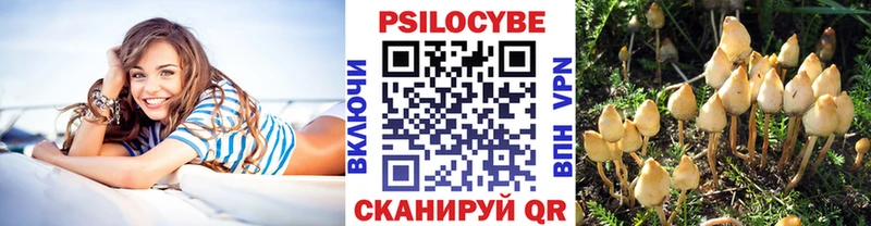 Псилоцибиновые грибы ЛСД  купить наркоту  Городец 